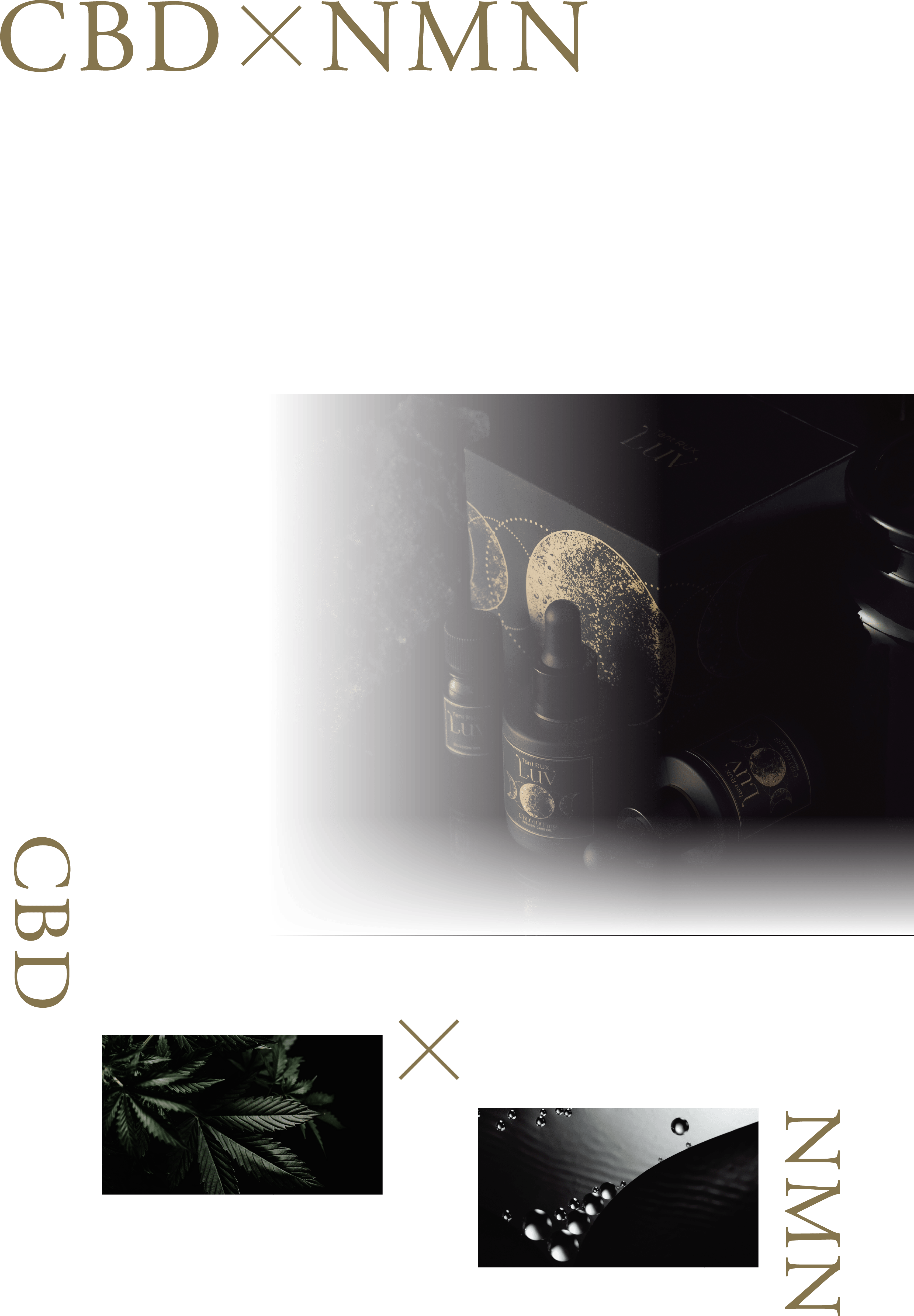 CBD×NMN