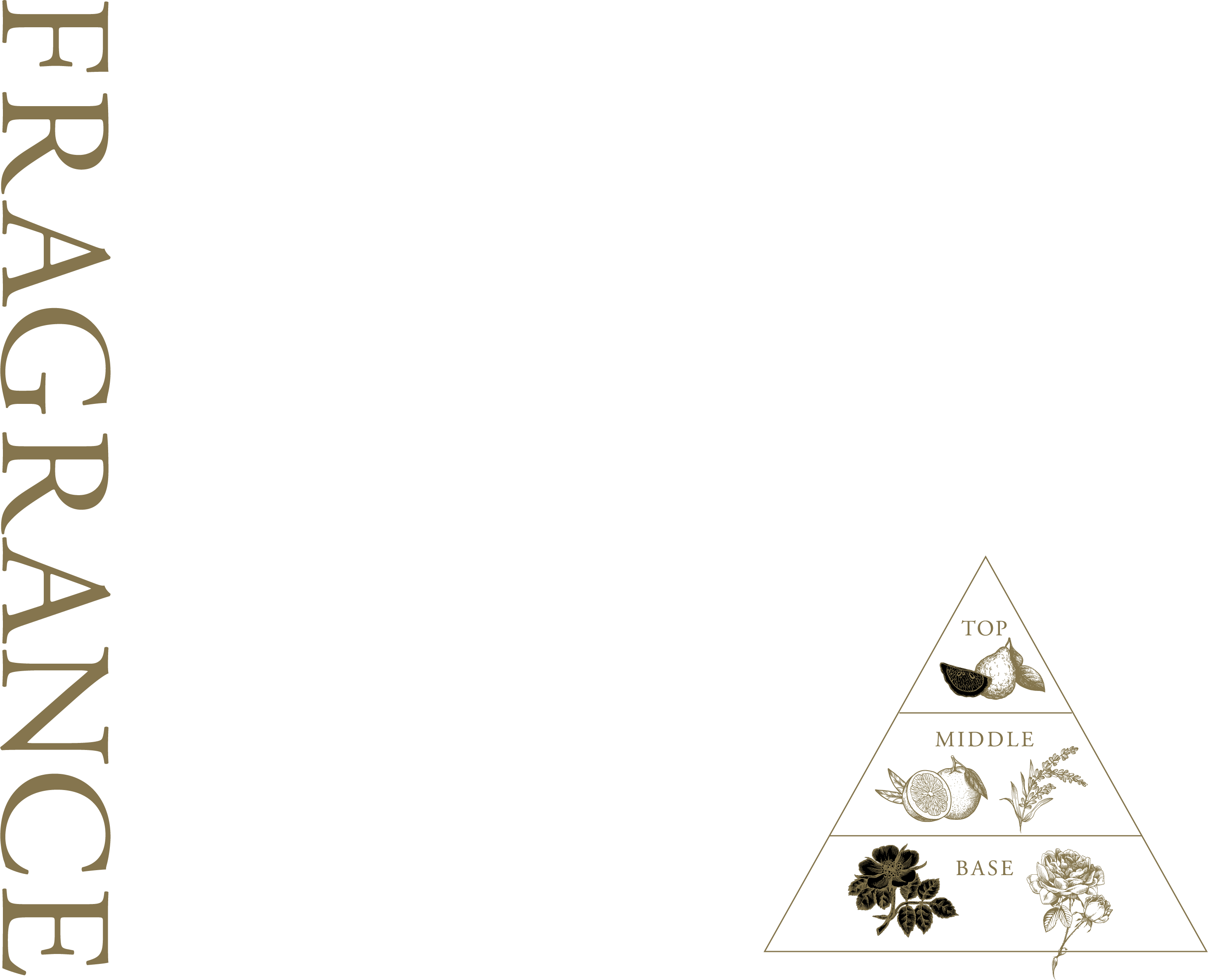 FRAGRANCE
