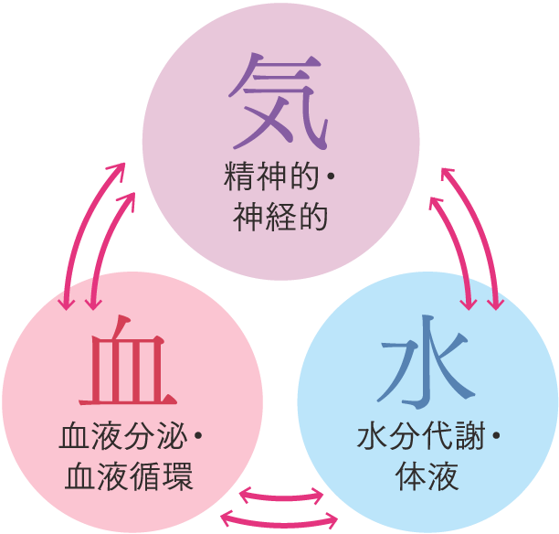 気精神的・神経的水水分代謝・体液血血液分泌・血液循環