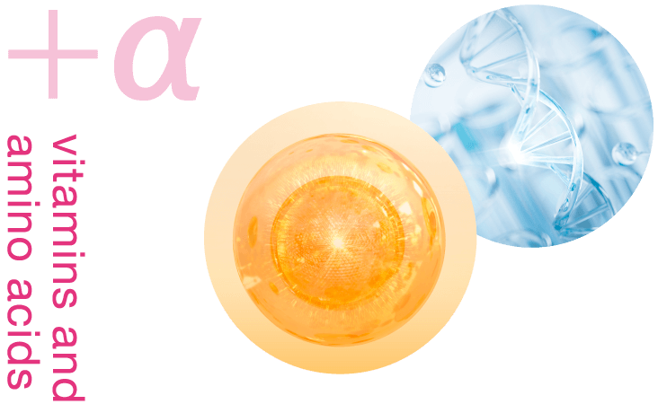 +α vitamins and amino acids