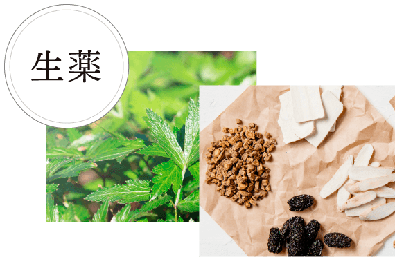 生薬