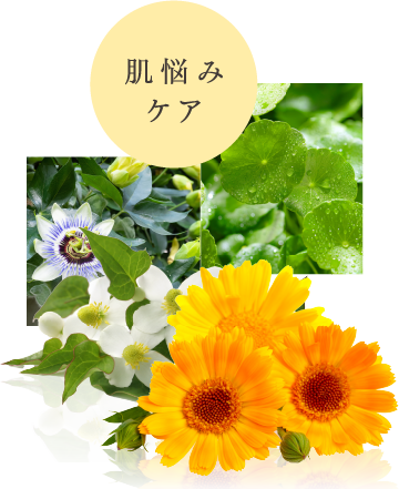 保水力と保湿力で「ふわっ」と肌に導く6種の美容成分