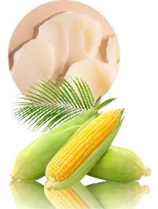 古い角質をオフし、ミネラルを補給する天然海塩