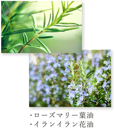 ・ローズマリー葉油・イランイラン花油
