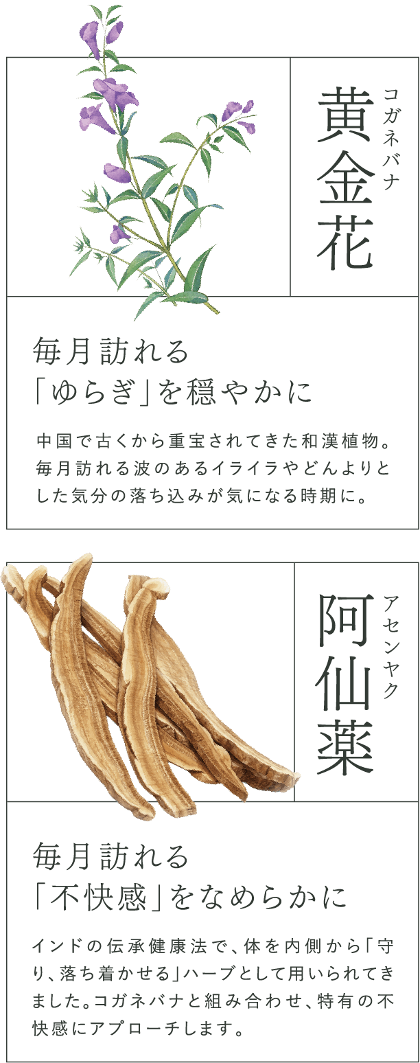 黄金花 コガネバナ 毎月訪れる「ゆらぎ」を穏やかに 中国で古くから重宝されてきた和漢植物。毎月訪れる波のあるイライラやどんよりとした気分の落ち込みが気になる時期に。阿仙薬 アセンヤク 毎月訪れる「不快感」をなめらかに インドの伝承健康法で、体を内側から「守り、落ち着かせる」ハーブとして用いられてきました。コガネバナと組み合わせ、特有の不快感にアプローチします。
